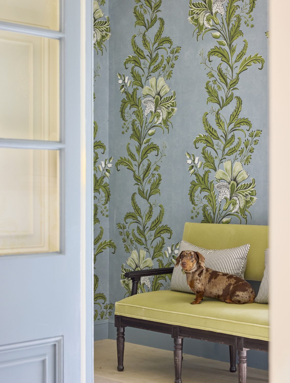 James: Floral trellis wallpaper